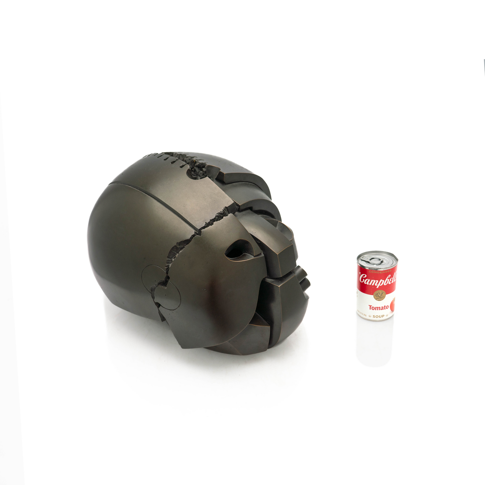 Howard Newman Bronze, Skull