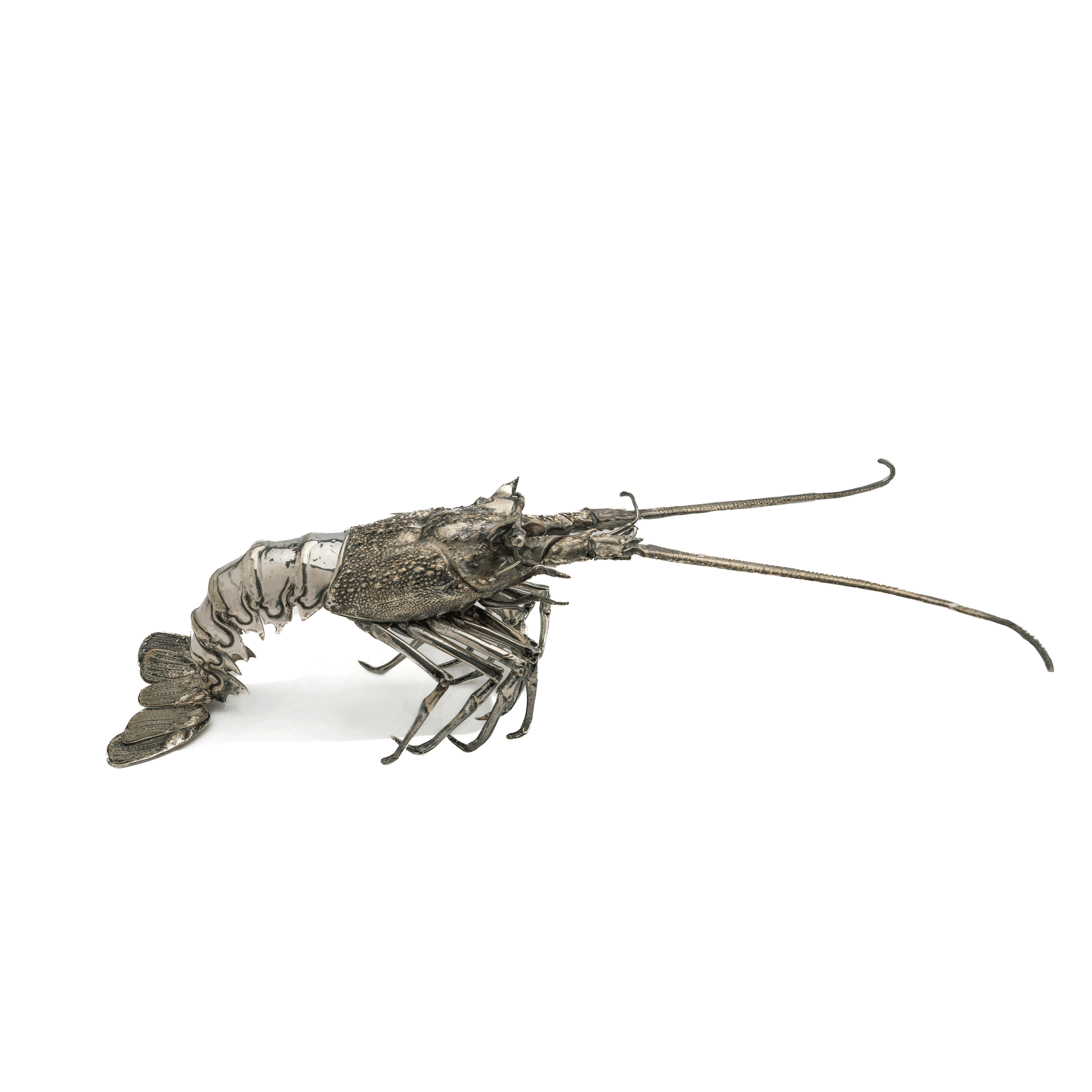 Spanish Silver Articulated Lobster