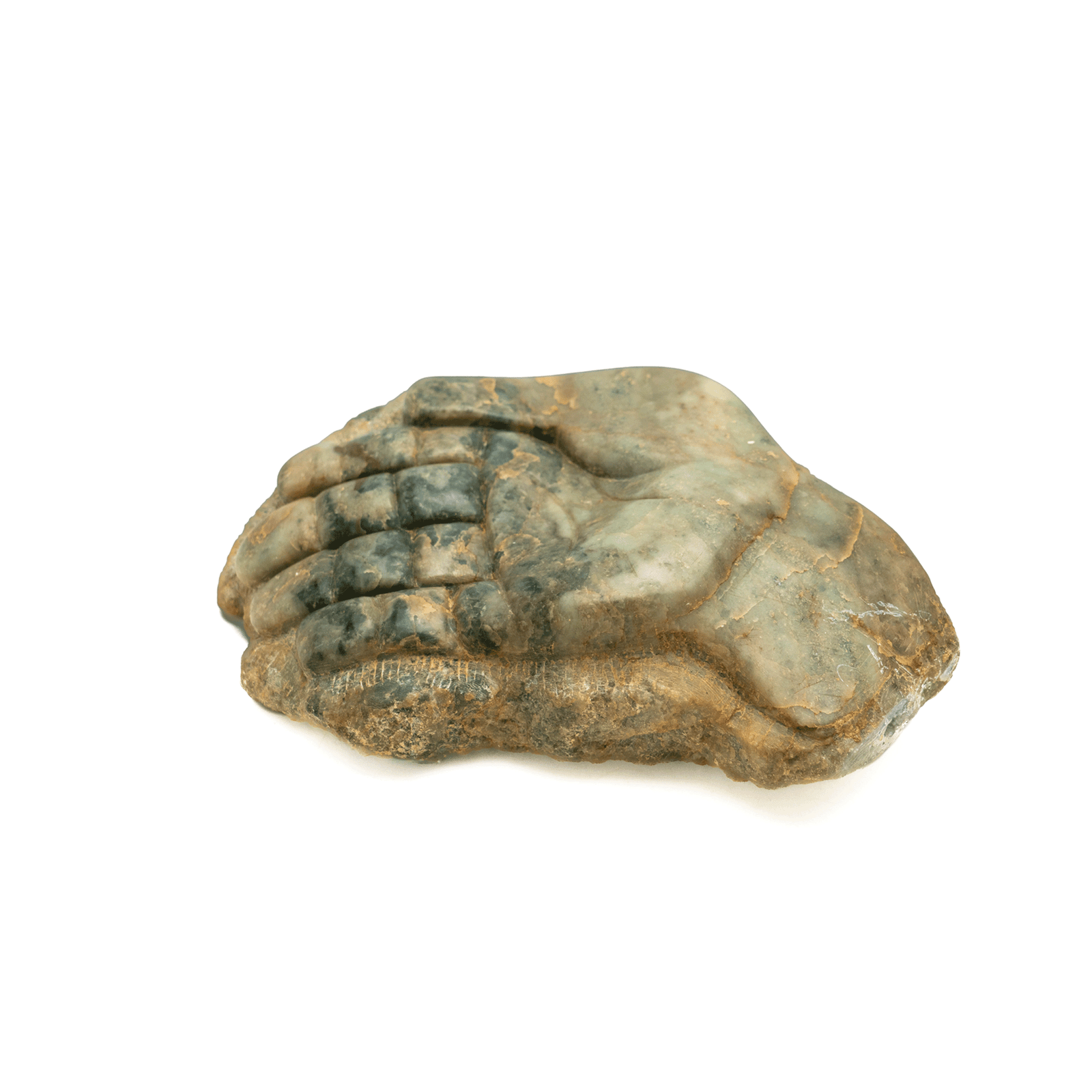 Carved Marble Hand, American School