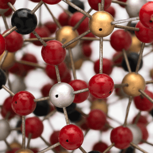 French Molecular Model
