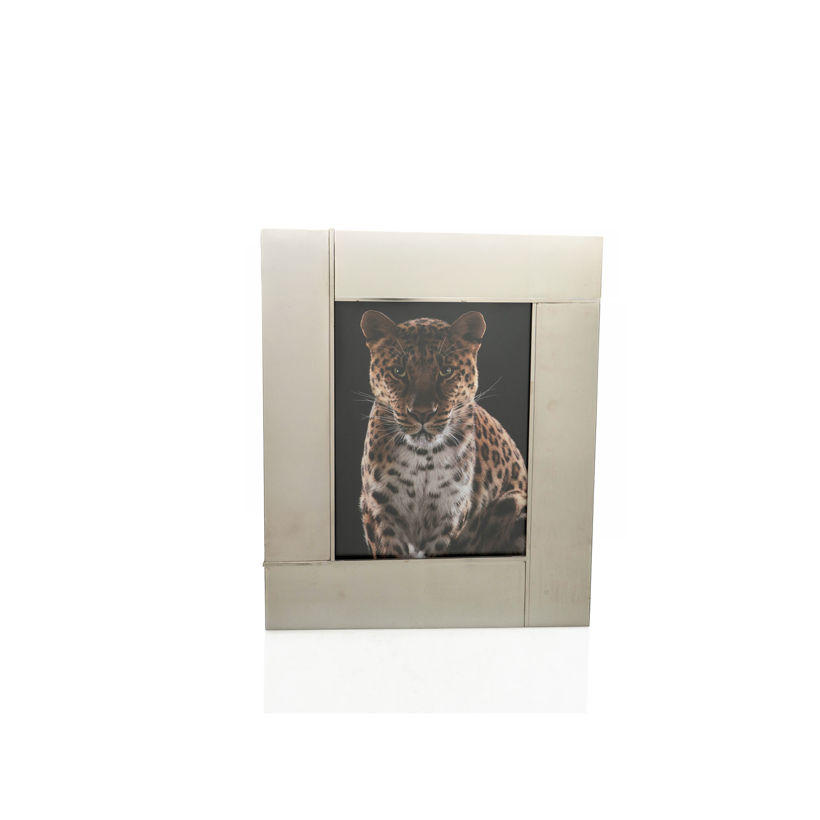 Silver Picture Frame