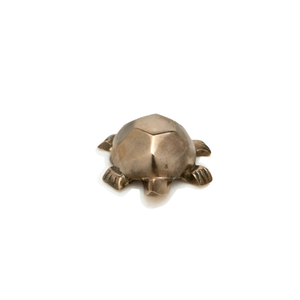 French Bronze Turtle Catchall