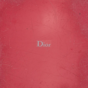 Christian Dior Waste Bin
