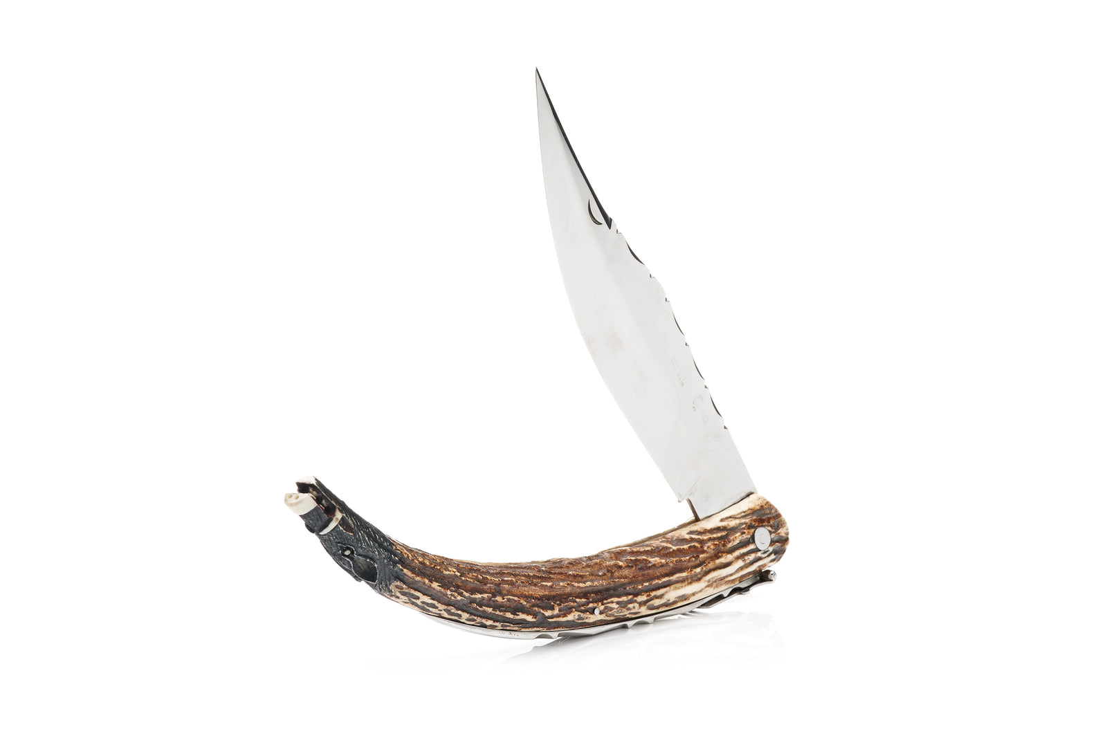 Swiss Display Knife, Boar