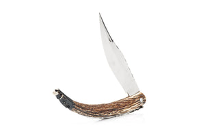 Swiss Display Knife, Boar